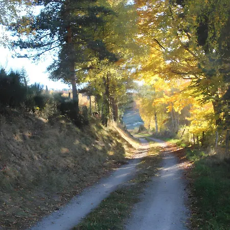Vakantiehuis La Maison De Castanet Le Buisson (Lozere)